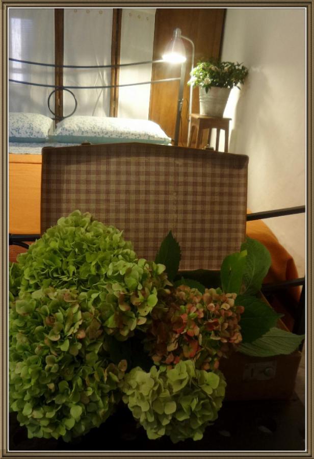 Cuntro' Granda Bed & Breakfast Boves Luaran gambar